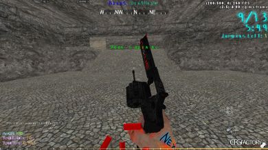Anaconda Skin