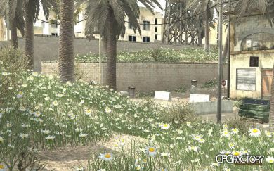 Camomile green grass
