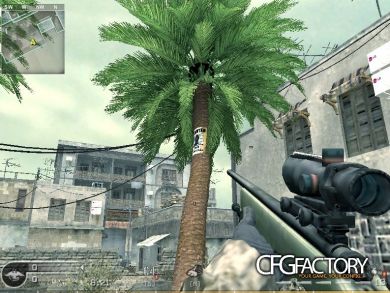 New Palmtrees