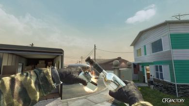 BO1 Bot mod with custom guns