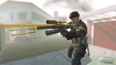BO1 Bot mod with custom guns