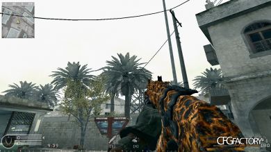 MW2_AK_PAP