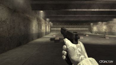Sig Sauer P220