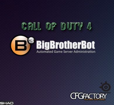 b3  (linux) version