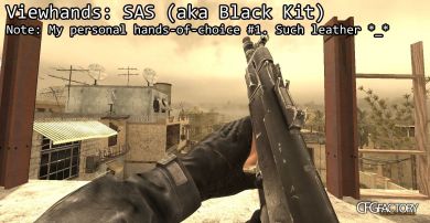 MWR Viewhands