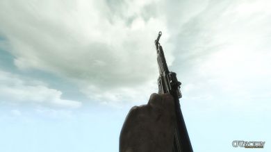 Advanced Warfare STG 44