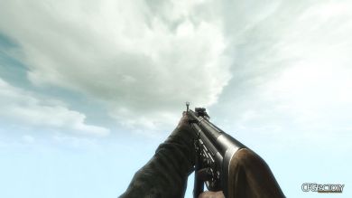 Advanced Warfare STG 44