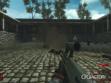 [BO1]Assault Rifles