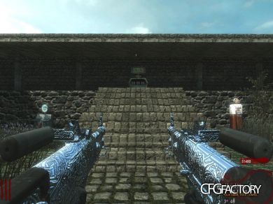 [BO1]Shotguns