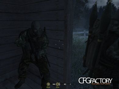 Realistic Russian Intervention