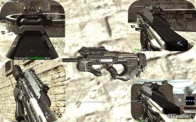 BO3 Weevil