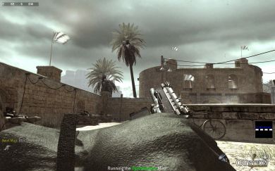 BO3 Weevil