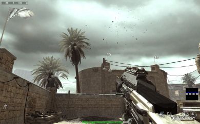 BO3 Weevil