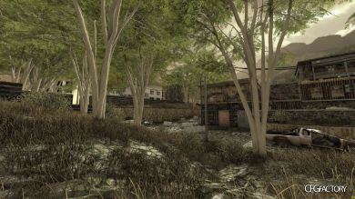 Albizia Trees (animated)