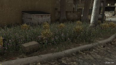 Red / Purple grass