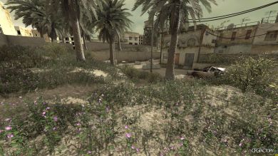 Red / Purple grass