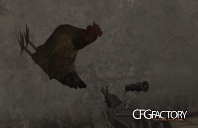 Chicken_PlayerModel