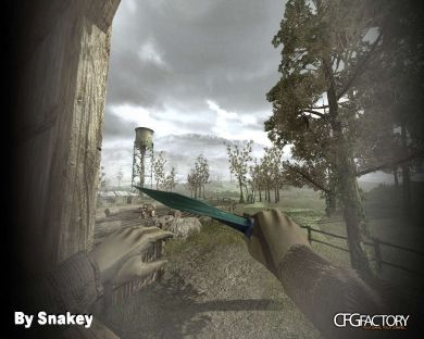 Combat Knife