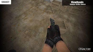 CS Source Viewhands