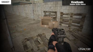 CS Source Viewhands