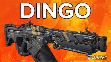 bo3 dingo