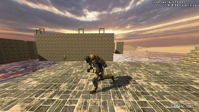 Lion Playermodel + Viewhands