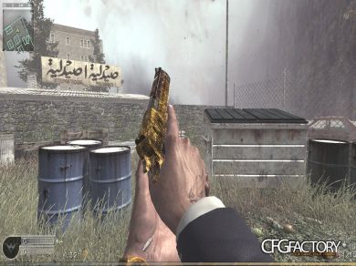 007 Arms