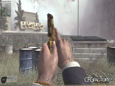 007 Arms