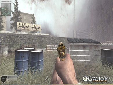 007 Arms