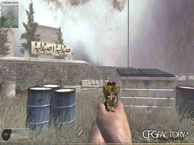 007 Arms
