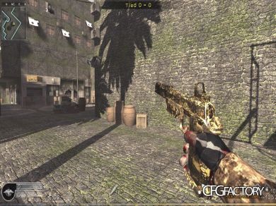BO2  B23R  Camo