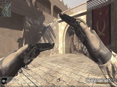 AKIMBO GHOSTS MAGNUMS