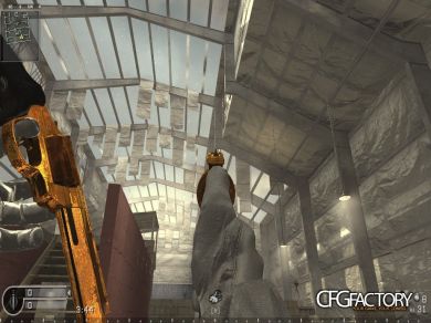 GOLD_AKIMBO_MAGNUMS
