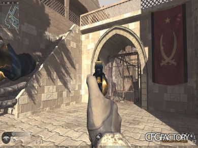AKIMBO MAGS (2New Anims&Camo)