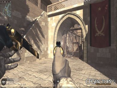 AKIMBO MAGS (2New Anims&Camo)