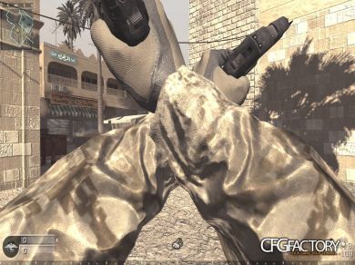 P226_AKIMBO