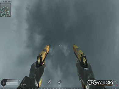 BLACK/ GOLD  P226 AKIMBO CAMO