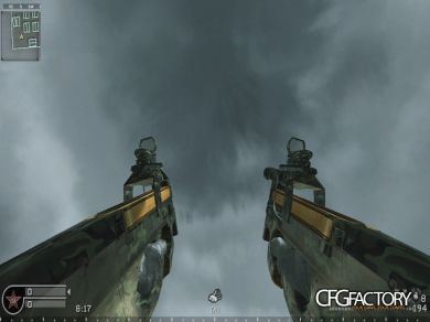 COD4 P90 Akimbo