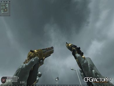 Deagle w/Magnum Akimbo