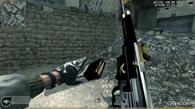 mp44 silver