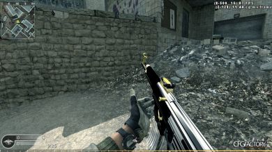 mp44 silver