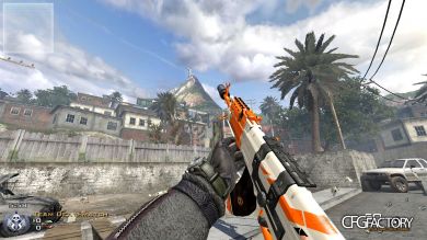 COD:MW2 AK-47 ASIIMOV