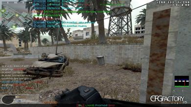 cod4 cfg