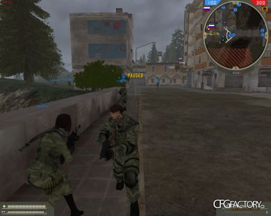 Seal Israel, Russian T, USS Skin